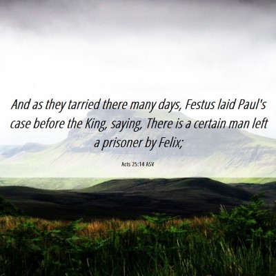 Picture 06 - Acts 25:14 ASV - And as they tarried there many days, Festus laid - Bible Verse Picture