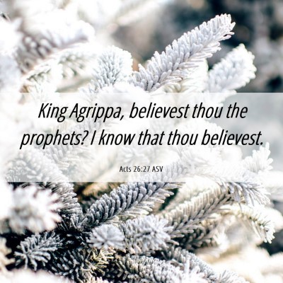 Picture 06 - Acts 26:27 ASV - King Agrippa, believest thou the prophets? I know - Bible Verse Picture