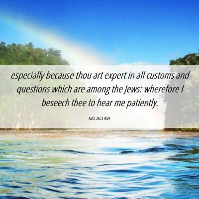 Picture 06 - Acts 26:3 ASV - especially because thou art expert in all customs - Bible Verse Picture