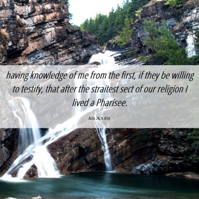 Picture 06 - Acts 26:5 ASV - having knowledge of me from the first, if they be - Bible Verse Picture