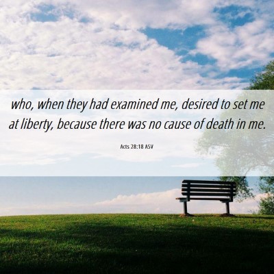 Picture 06 - Acts 28:18 ASV - who, when they had examined me, desired to set me - Bible Verse Picture