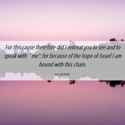 Picture 06 - Acts 28:20 ASV - For this cause therefore did I entreat you to see - Bible Verse Picture