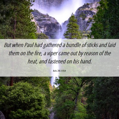 Picture 06 - Acts 28:3 ASV - But when Paul had gathered a bundle of sticks and - Bible Verse Picture