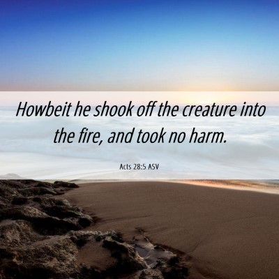 Picture 06 - Acts 28:5 ASV - Howbeit he shook off the creature into the fire, - Bible Verse Picture