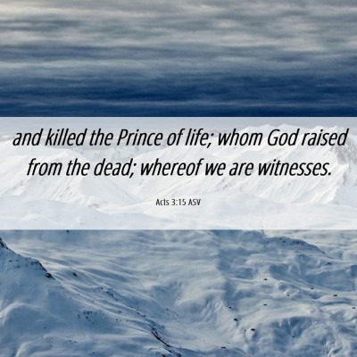 Picture 06 - Acts 3:15 ASV - and killed the Prince of life; whom God raised - Bible Verse Picture