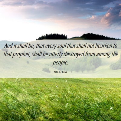 Picture 06 - Acts 3:23 ASV - And it shall be, that every soul that shall not - Bible Verse Picture