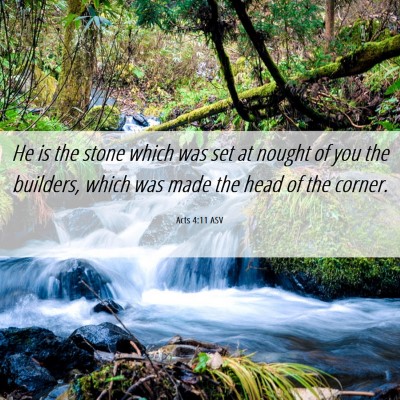 Picture 06 - Acts 4:11 ASV - He is the stone which was set at nought of you - Bible Verse Picture