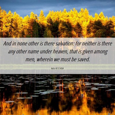 Picture 06 - Acts 4:12 ASV - And in none other is there salvation: for neither - Bible Verse Picture