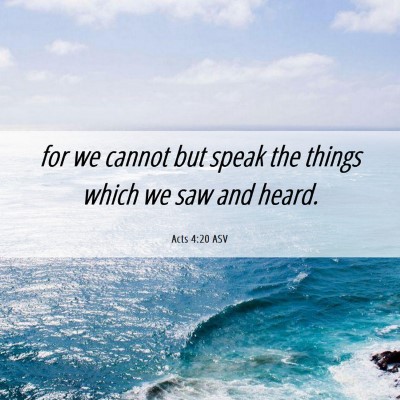 Picture 06 - Acts 4:20 ASV - for we cannot but speak the things which we saw - Bible Verse Picture