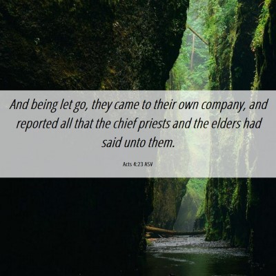 Picture 06 - Acts 4:23 ASV - And being let go, they came to their own company, - Bible Verse Picture