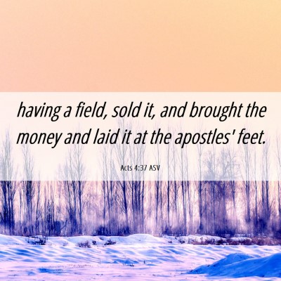 Picture 06 - Acts 4:37 ASV - having a field, sold it, and brought the money - Bible Verse Picture