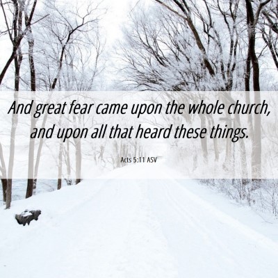Picture 06 - Acts 5:11 ASV - And great fear came upon the whole church, and - Bible Verse Picture