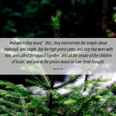 Picture 06 - Acts 5:21 ASV - And when they heard `this', they entered into the - Bible Verse Picture