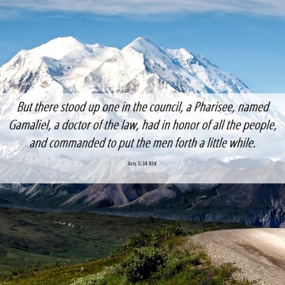 Picture 06 - Acts 5:34 ASV - But there stood up one in the council, a - Bible Verse Picture