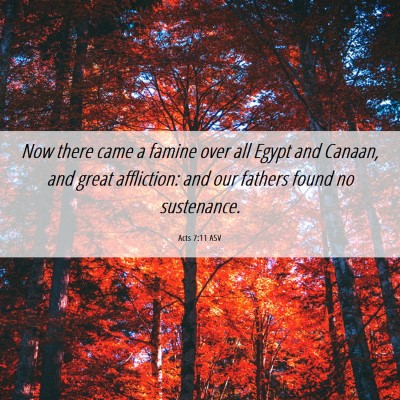 Picture 06 - Acts 7:11 ASV - Now there came a famine over all Egypt and - Bible Verse Picture