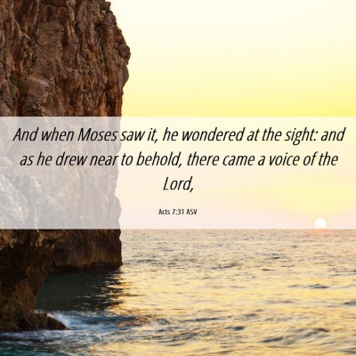Picture 06 - Acts 7:31 ASV - And when Moses saw it, he wondered at the sight: - Bible Verse Picture