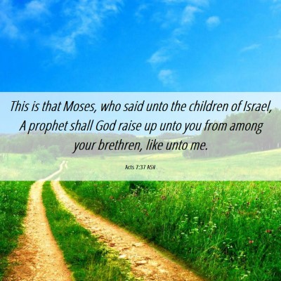 Picture 06 - Acts 7:37 ASV - This is that Moses, who said unto the children of - Bible Verse Picture
