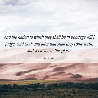 Picture 06 - Acts 7:7 ASV - And the nation to which they shall be in bondage - Bible Verse Picture