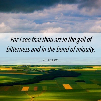 Picture 06 - Acts 8:23 ASV - For I see that thou art in the gall of bitterness - Bible Verse Picture