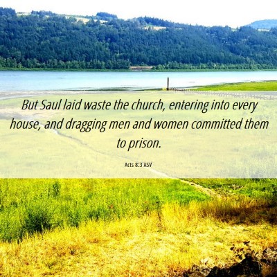 Picture 06 - Acts 8:3 ASV - But Saul laid waste the church, entering into - Bible Verse Picture