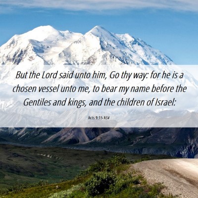 Picture 06 - Acts 9:15 ASV - But the Lord said unto him, Go thy way: for he is - Bible Verse Picture