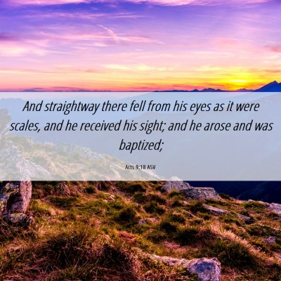 Picture 06 - Acts 9:18 ASV - And straightway there fell from his eyes as it - Bible Verse Picture