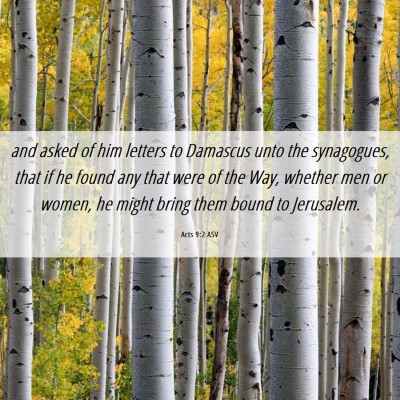 Picture 06 - Acts 9:2 ASV - and asked of him letters to Damascus unto the - Bible Verse Picture