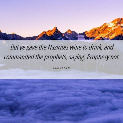 Picture 06 - Amos 2:12 ASV - But ye gave the Nazirites wine to drink, and - Bible Verse Picture