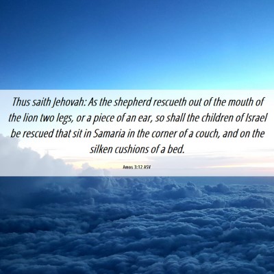 Picture 06 - Amos 3:12 ASV - Thus saith Jehovah: As the shepherd rescueth out - Bible Verse Picture