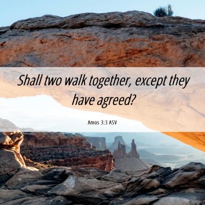 Picture 06 - Amos 3:3 ASV - Shall two walk together, except they have - Bible Verse Picture