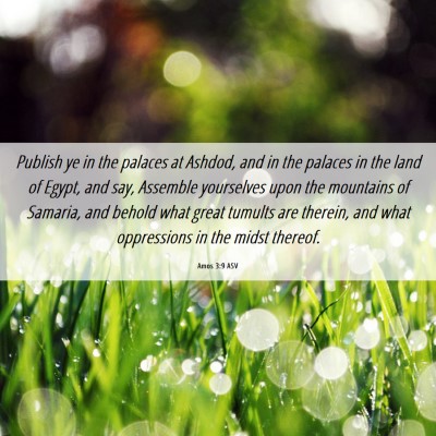 Picture 06 - Amos 3:9 ASV - Publish ye in the palaces at Ashdod, and in the - Bible Verse Picture