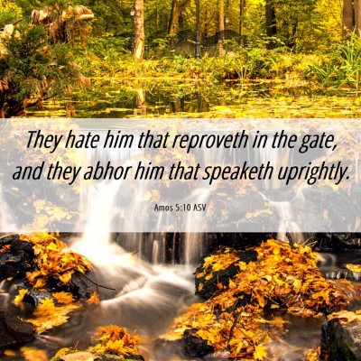 Picture 06 - Amos 5:10 ASV - They hate him that reproveth in the gate, and - Bible Verse Picture