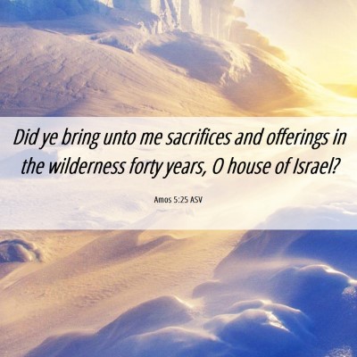Picture 06 - Amos 5:25 ASV - Did ye bring unto me sacrifices and offerings in - Bible Verse Picture