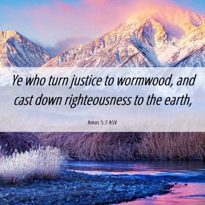 Picture 06 - Amos 5:7 ASV - Ye who turn justice to wormwood, and cast down - Bible Verse Picture