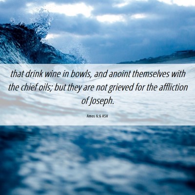 Picture 06 - Amos 6:6 ASV - that drink wine in bowls, and anoint themselves - Bible Verse Picture