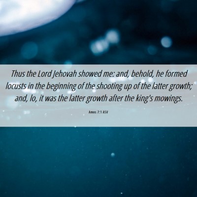 Picture 06 - Amos 7:1 ASV - Thus the Lord Jehovah showed me: and, behold, he - Bible Verse Picture