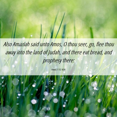Picture 06 - Amos 7:12 ASV - Also Amaziah said unto Amos, O thou seer, go, - Bible Verse Picture