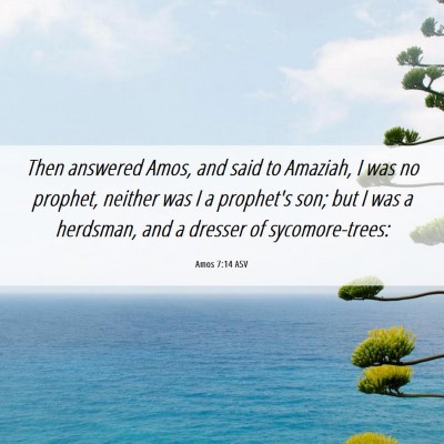 Picture 06 - Amos 7:14 ASV - Then answered Amos, and said to Amaziah, I was no - Bible Verse Picture
