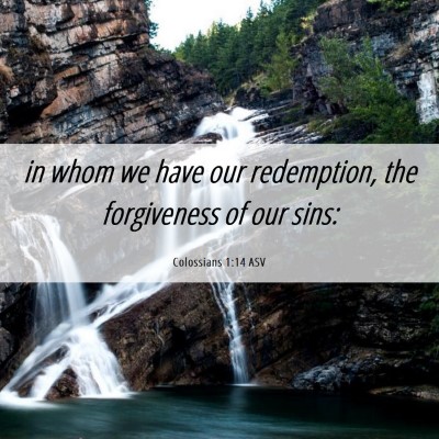 Picture 06 - Colossians 1:14 ASV - in whom we have our redemption, the forgiveness - Bible Verse Picture
