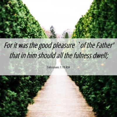 Picture 06 - Colossians 1:19 ASV - For it was the good pleasure `of the Father' that - Bible Verse Picture