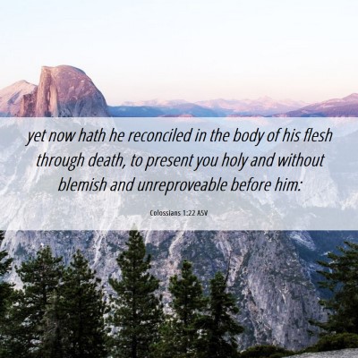 Picture 06 - Colossians 1:22 ASV - yet now hath he reconciled in the body of his - Bible Verse Picture
