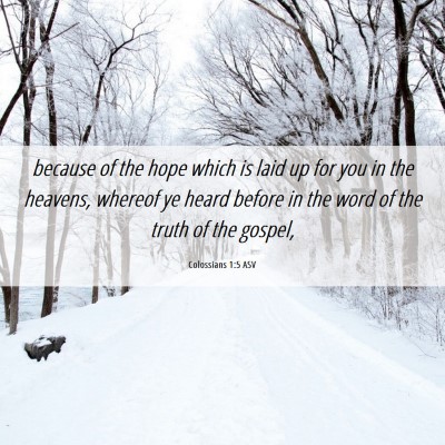 Picture 06 - Colossians 1:5 ASV - because of the hope which is laid up for you in - Bible Verse Picture