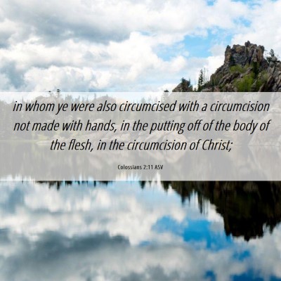 Picture 06 - Colossians 2:11 ASV - in whom ye were also circumcised with a - Bible Verse Picture