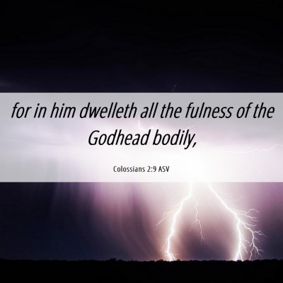 Picture 06 - Colossians 2:9 ASV - for in him dwelleth all the fulness of the - Bible Verse Picture
