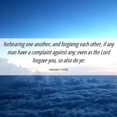 Picture 06 - Colossians 3:13 ASV - forbearing one another, and forgiving each other, - Bible Verse Picture