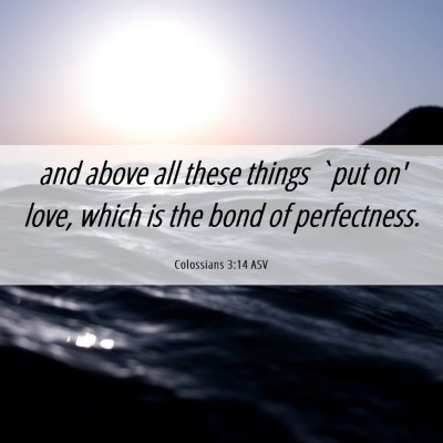 Picture 06 - Colossians 3:14 ASV - and above all these things `put on' love, which - Bible Verse Picture