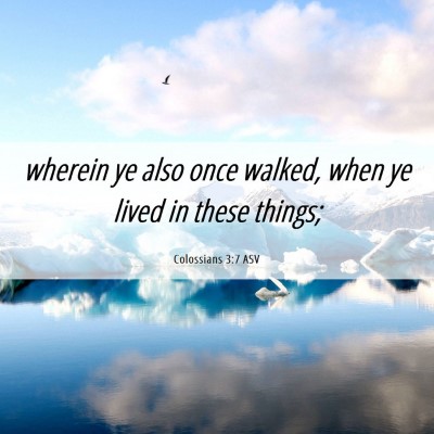 Picture 06 - Colossians 3:7 ASV - wherein ye also once walked, when ye lived in - Bible Verse Picture