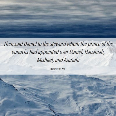 Picture 06 - Daniel 1:11 ASV - Then said Daniel to the steward whom the prince - Bible Verse Picture