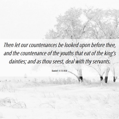 Picture 06 - Daniel 1:13 ASV - Then let our countenances be looked upon before - Bible Verse Picture