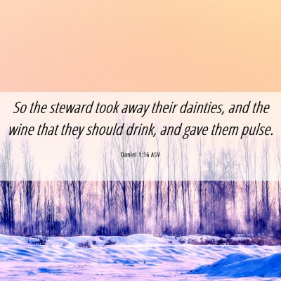 Picture 06 - Daniel 1:16 ASV - So the steward took away their dainties, and the - Bible Verse Picture